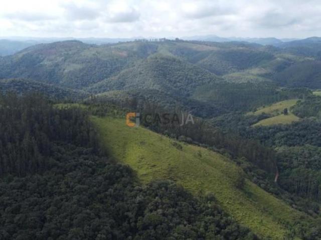 Fazenda, Estrado do Cerne, Campo Largo, PR