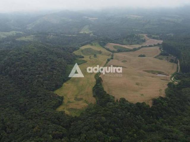 Fazenda Faxinal à venda, Socavão, Socavão, PR