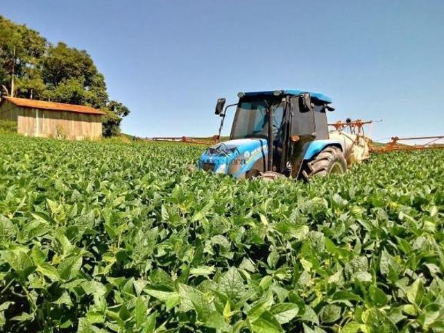 Fazenda, Faxinal dos Ferreiras, Irati, PR