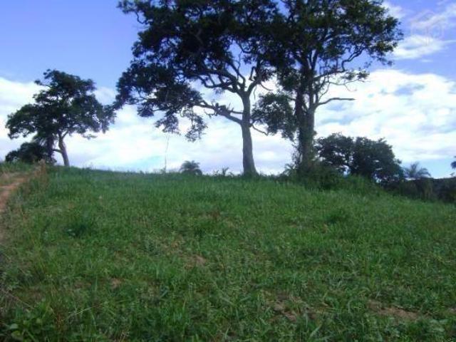 Fazenda, Fazenda 171 Hectares Oliveira, Oliveira, MG