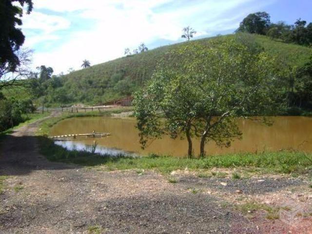 Fazenda, Fazenda 171 Hectares Oliveira, Oliveira, MG