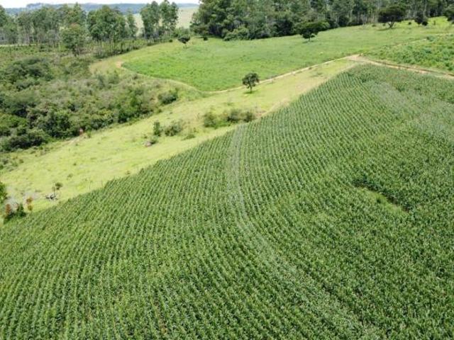 Fazenda, Fazenda 19 Hectares, Passa Tempo, MG