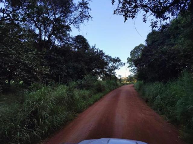 Fazenda, Fazenda 227 Hectares, Paraopeba, MG