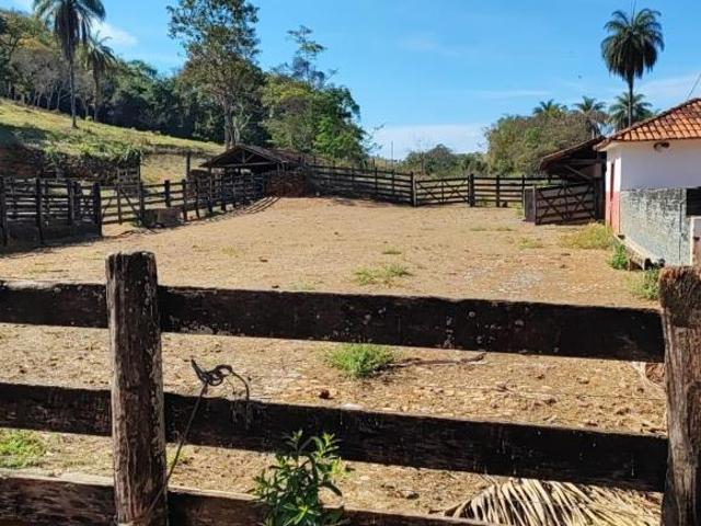 Fazenda, Fazenda 350 Hectares, Pitangui, MG