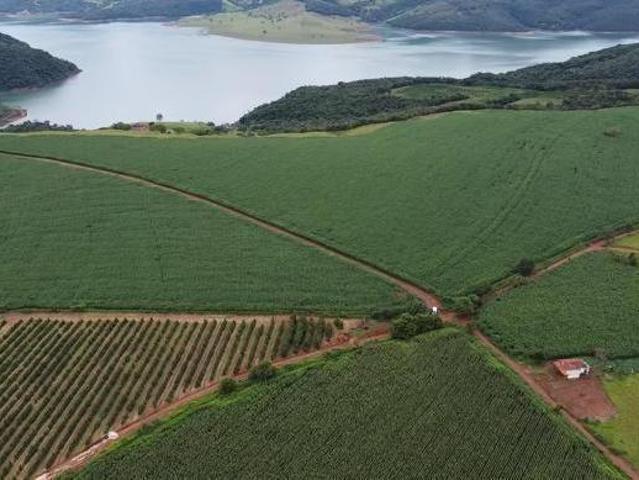 Fazenda, Fazenda 55,33 Hectares, Guapé, MG