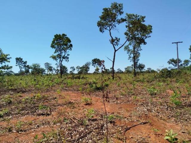 Fazenda, Fazenda 635 Hectares, Corinto, MG