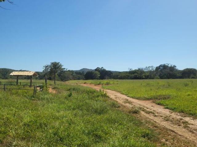 Fazenda, Fazenda 890 Hectares, Curvelo, MG