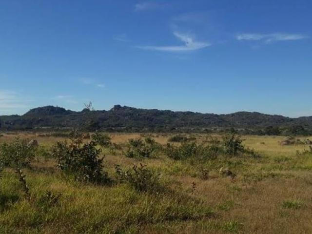 Fazenda, Fazenda 901 Hectares, Joaquim Felício, MG
