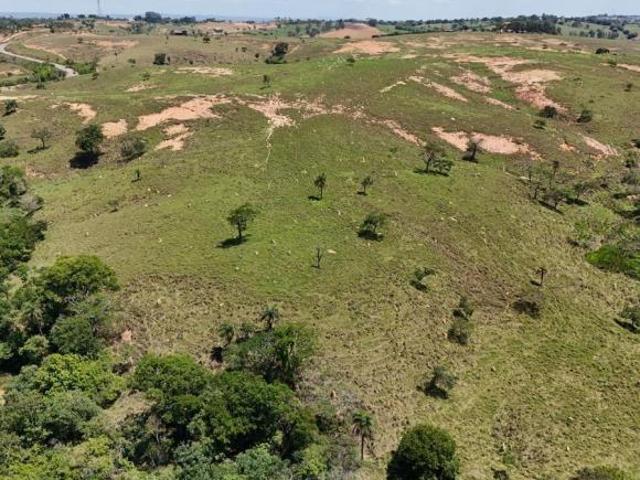 Fazenda, Fazenda 91,91 Hectares, Dores do Indaiá, MG