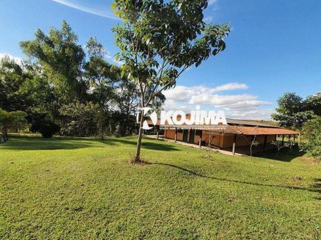 Fazenda Fazenda com estrutura para hotel. Negócio apartamento de menor valor! Aceito Imóvel