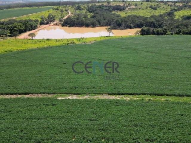 Fazenda Fazenda alto padrão de 368 ha na região de Bom Despacho MG