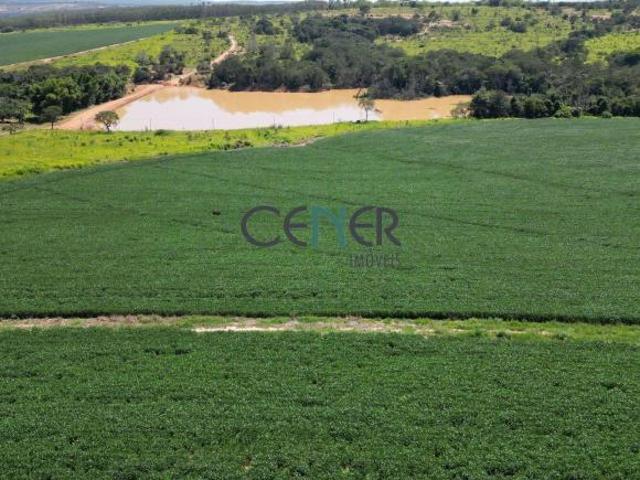 Fazenda Fazenda alto padrão de 368 ha na região de Bom Despacho MG