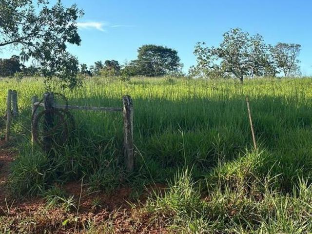 Fazenda, Fazenda Biquinhas 64,04 Hectares, Biquinhas, MG