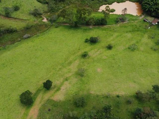Fazenda, Fazenda de 138 Hectares, Carmópolis de Minas, MG