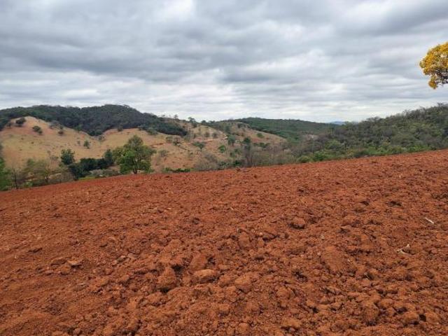 Fazenda, Fazenda de 176 Hectares, São José da Varginha, MG