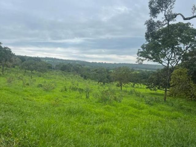 Fazenda, Fazenda de 170 Hectares, Martinho Campos, MG