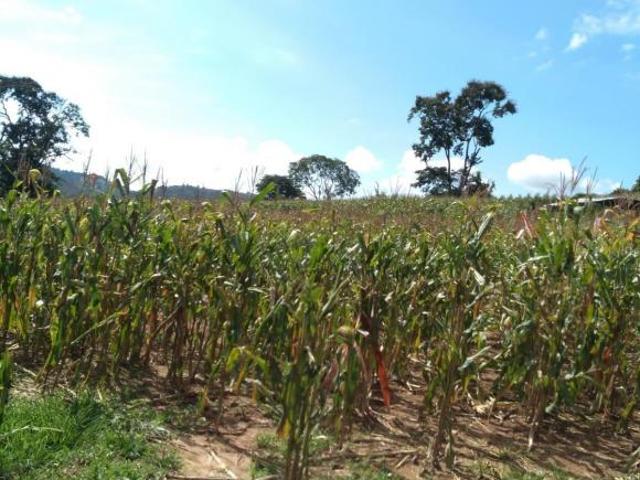 Fazenda, Fazenda de 17 Hectares em Oliveira, Oliveira, MG