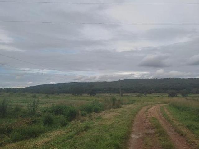 Fazenda, Fazenda de 190 Hectares, Martinho Campos, MG