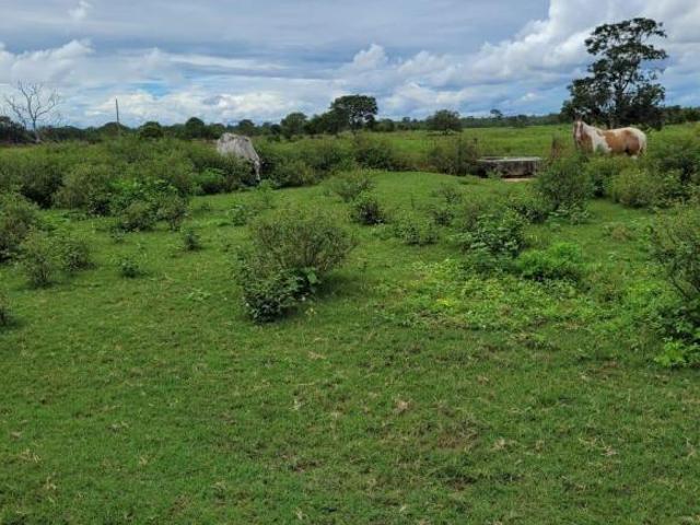 Fazenda, Fazenda de 1.370 Hectares, Buritizeiro, MG