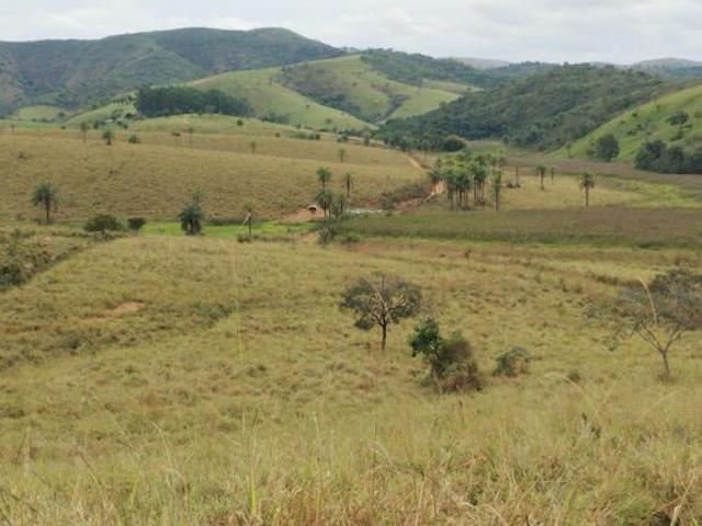 Fazenda, Fazenda de 218 Hectares, Estrela do Indaiá, MG
