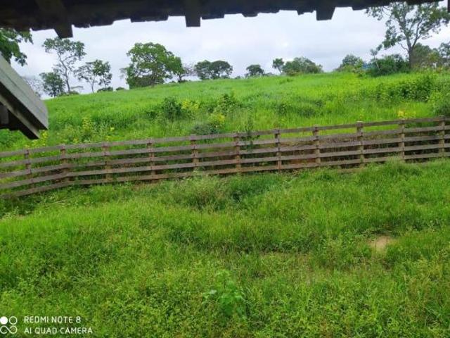 Fazenda, Fazenda de 210 Hectares, Moema, MG