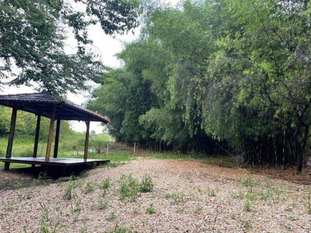 Fazenda, Fazenda de 250 Hectares, Leandro Ferreira, MG