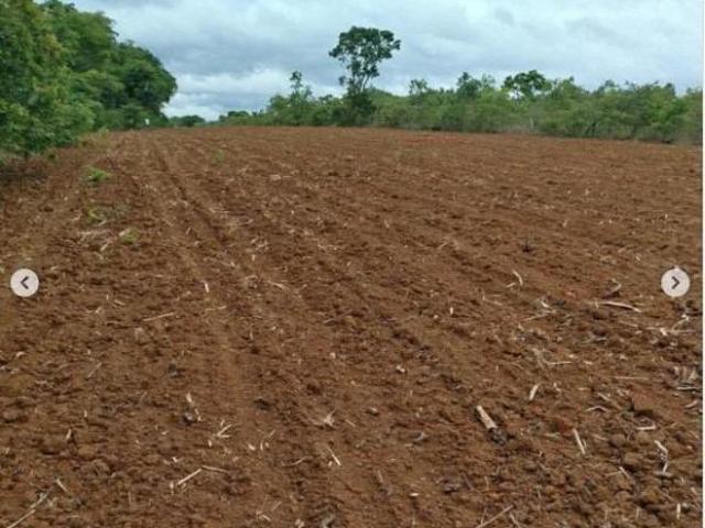 Fazenda, Fazenda de 25 Hectares, Curvelo, MG