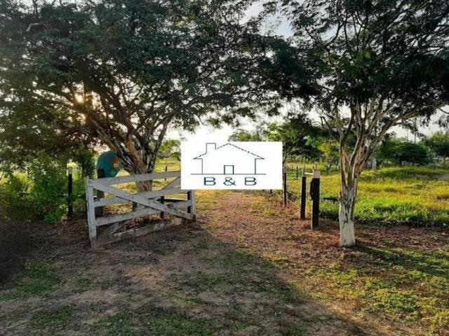 Fazenda, Fazenda de 267 Hectares, Curvelo, MG