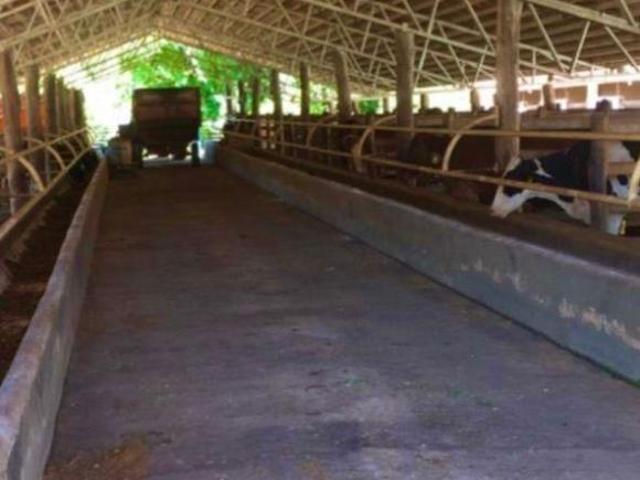 Fazenda, Fazenda de 286 Hectares, São João Nepomuceno, MG