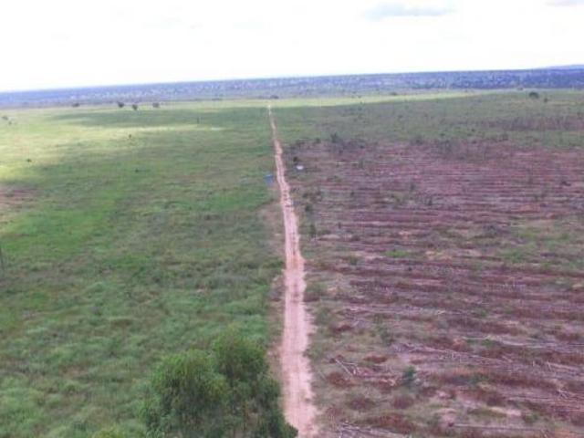 Fazenda, Fazenda de 2.550 Hec João Pinheiro, MG