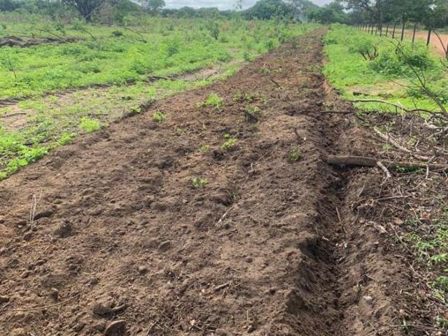 Fazenda, Fazenda de 2.050 Hec Januária, MG