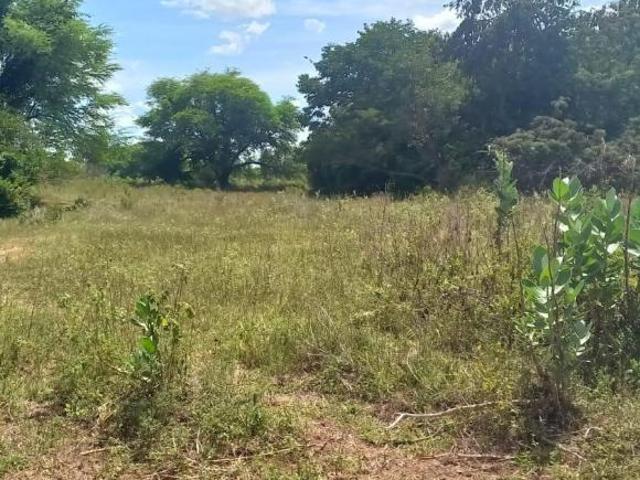 Fazenda, Fazenda de 2.216 Hec Jaíba, MG