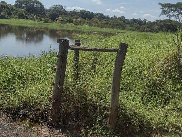 Fazenda, Fazenda de 30 Hectares, Felixlândia, MG