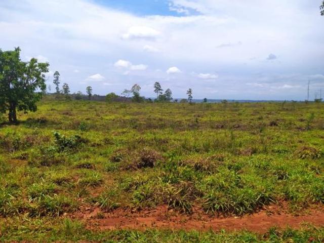 Fazenda, Fazenda de 359 Hectares, Abaeté, MG