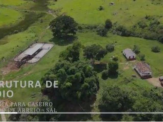 Fazenda, Fazenda de 404 Hectares, Santo Antônio do Amparo, MG