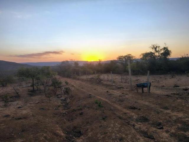 Fazenda, Fazenda de 421 Hectares, Várzea da Palma, MG