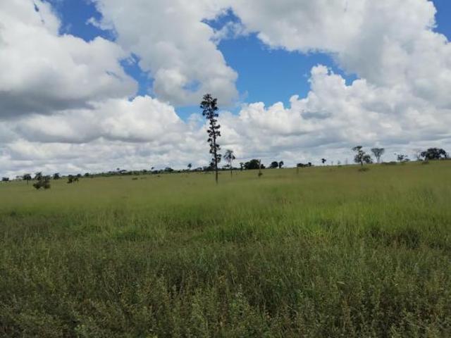 Fazenda, Fazenda de 440 Hectares, Abaeté, MG