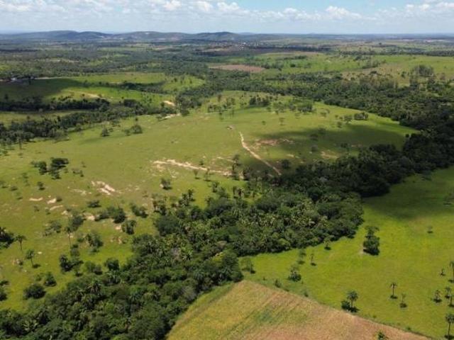Fazenda, Fazenda de 450 Hectares, Biquinhas, MG