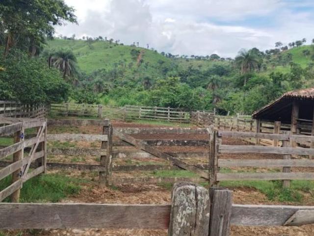 Fazenda, Fazenda de 441,50 Hectares, Serra da Saudade, MG