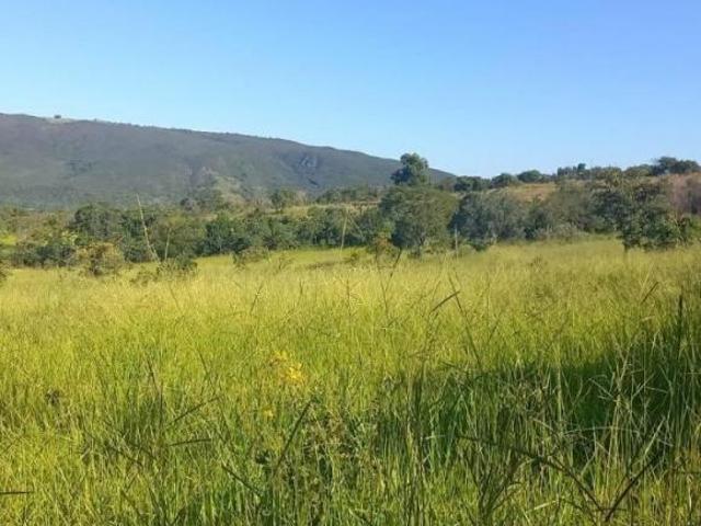 Fazenda, Fazenda de 62 Hectares, Onça de Pitangui, MG