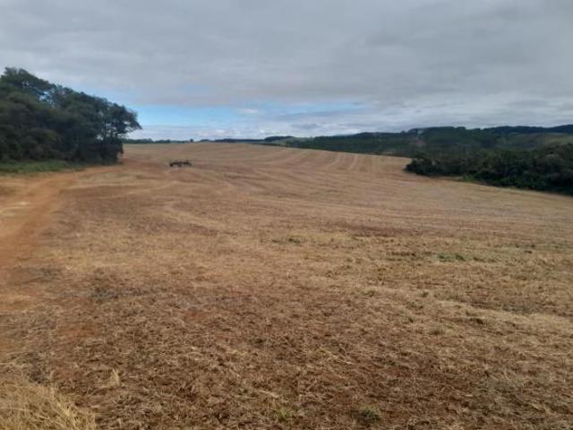 Fazenda, Fazenda de 699,41 Hectares, Andrelândia, MG