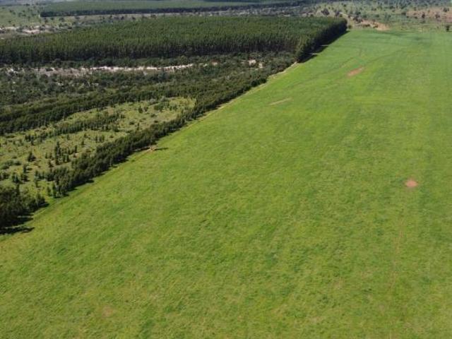 Fazenda, Fazenda de 6.300 Hectares, Bonfinópolis de Minas, MG