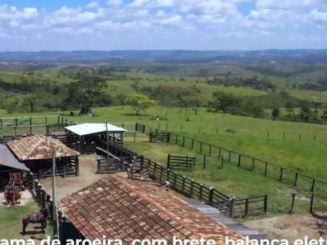 Fazenda, Fazenda de 742 Hectares, Cedro do Abaeté, MG