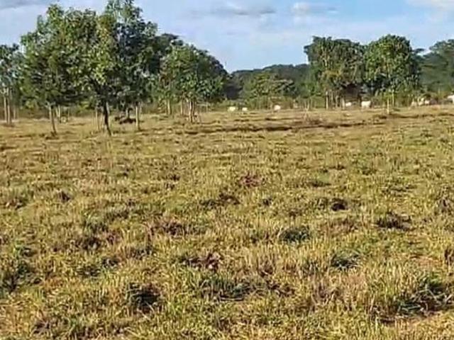 Fazenda, Fazenda de 97,8 Hectares, Buritizeiro, MG
