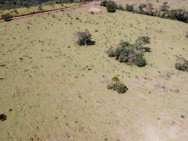 Fazenda, Fazendinha 10 Hectares, Passa Tempo, MG