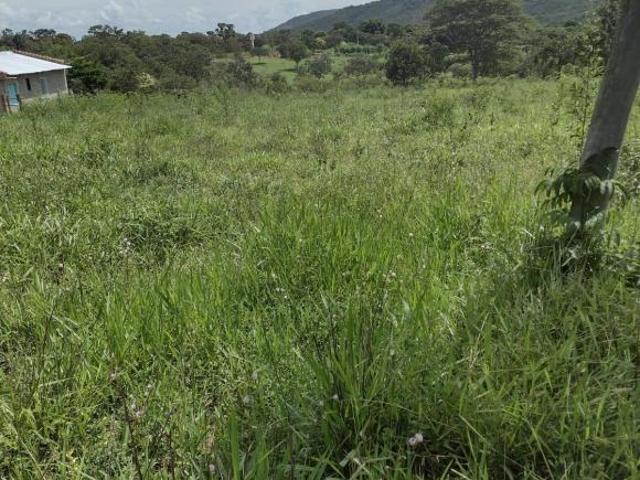 Fazenda, Fazendinha de 9 Hectares, Felixlândia, MG