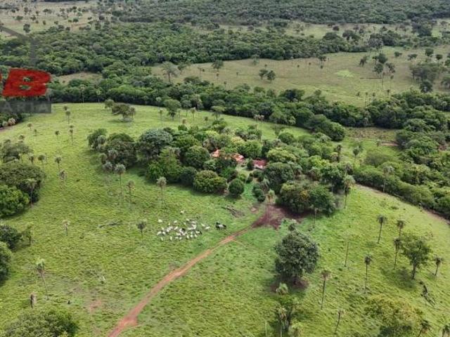 Fazenda, Formosa, Formosa, GO