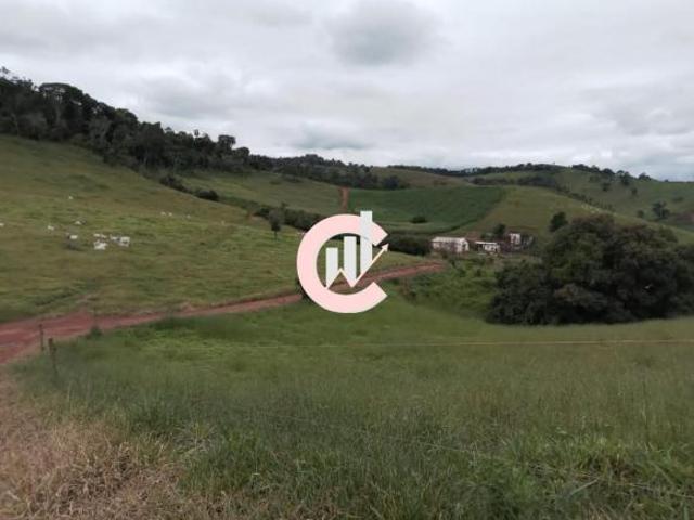 Fazenda Gado corte próx. São Lourenço MG