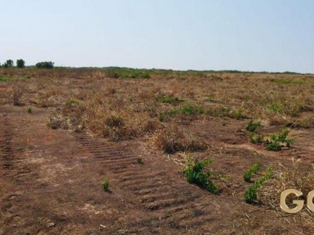 FAZENDA GAÚCHA DO NORTE MT