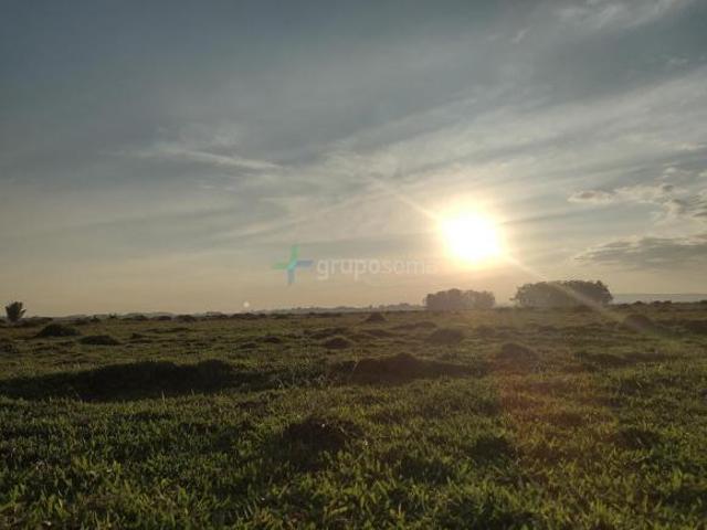 Fazenda, Glorinha, Glorinha, RS